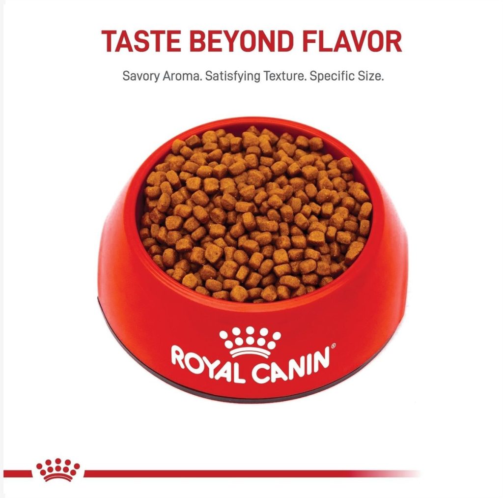 خرید ، قیمت و مشخصات غذا خشک رویال کنین پرشین کیتن | Royal Canin Persian Kitten