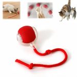 اسباب بازی توپ هوشمند |خرید از پت شاپ لنداف هانا