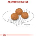 خرید ، قیمت و مشخصات غذا خشک ایکس اسمال ادالت رویال کنین از پت شاپ لنداف هانا | Royal Canin X-Small Adult