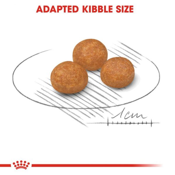 خرید ، قیمت و مشخصات غذا خشک ایکس اسمال ادالت رویال کنین از پت شاپ لنداف هانا | Royal Canin X-Small Adult