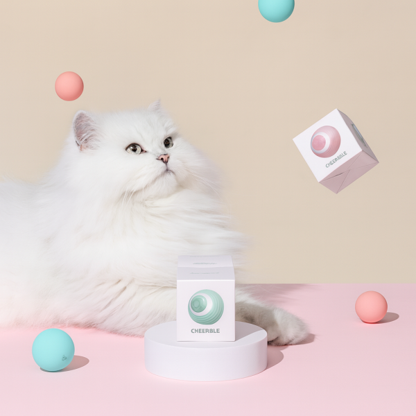 خرید ، قیمت و مشخصات اسباب بازی گربه توپ هوشمند مدل اتوماتیک از پت شاپ لنداف هانا | Smart Cat Toy Ball