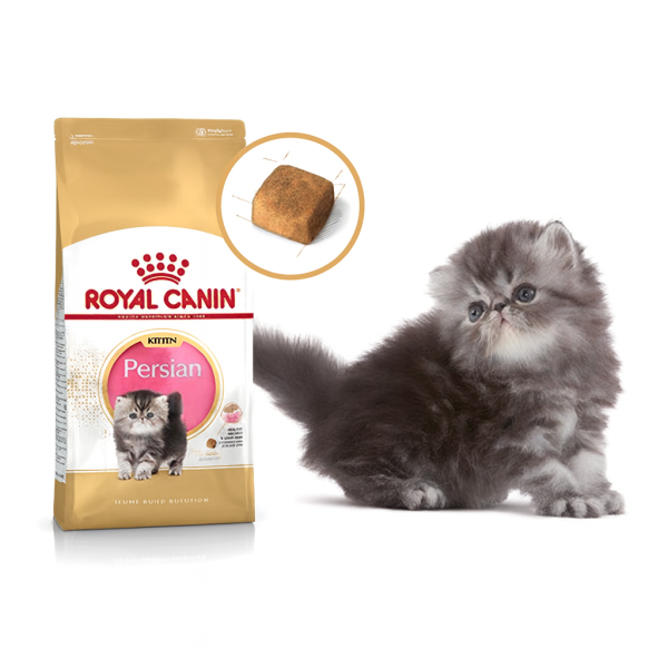 خرید ، قیمت و مشخصات غذا خشک رویال کنین پرشین کیتن | Royal Canin Persian Kitten