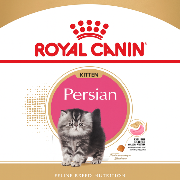 خرید ، قیمت و مشخصات غذا خشک رویال کنین پرشین کیتن | Royal Canin Persian Kitten
