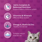 خرید ، قیمت و مشخصات کنسرو پته ویسکاس طعم بیف از پت شاپ لنداف هانا | Whiskas Beef Flavour Loaf