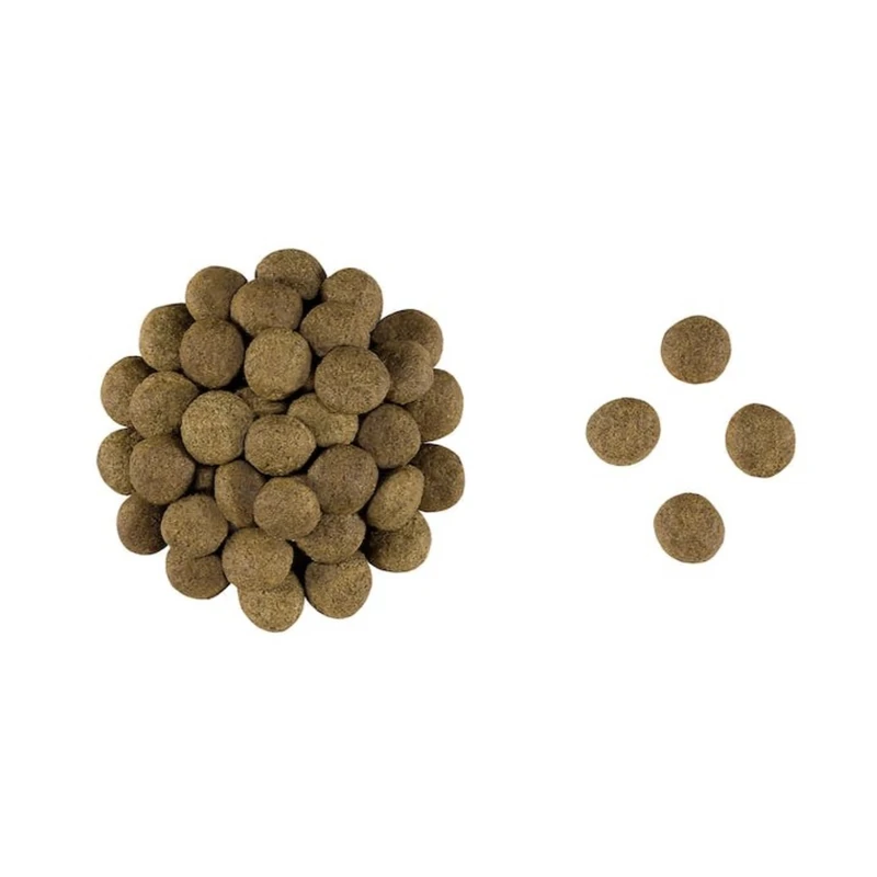 خرید ، قیمت و مشخصات غذا خشک سگ رویال کنین مدل گاسترو اینتستینال از پت شاپ لنداف هانا | Royal Canin Gastrointestinal