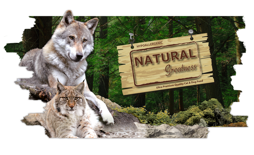 خرید ، قیمت و مشخصات غذا خشک گربه نچرال گریتنس آتلانتیک از پت شاپ لنداف هانا | Natural Greatness Atlantic Sea