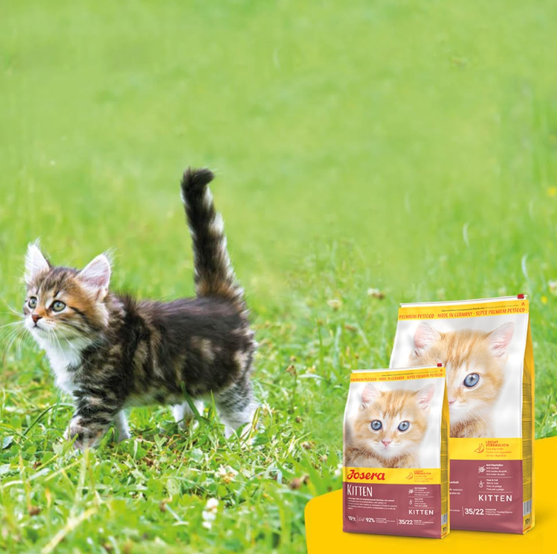 خرید ، قیمت و مشخصات غذا خشک گربه جوسرا کیتن از پت شاپ لنداف هانا | Josera Kitten