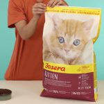 خرید ، قیمت و مشخصات غذا خشک گربه جوسرا کیتن از پت شاپ لنداف هانا | Josera Kitten