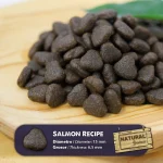 خرید ، قیمت و مشخصات غذاخشک سگ نچرال گریتنس سالمون از پت شاپ لنداف هانا | Natural Greatness salmon mini