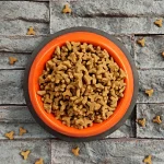 خرید ، قیمت و مشخصات غذا خسک گربه جوسرا لجر از پت شاپ لنداف هانا | Josera Léger