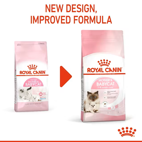 خرید ، قیمت و مشخصات غذای خشک گربه مادر اند بیبی رویال کنین از پت شاپ لنداف هانا | royal canin mother & babycat