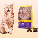 خرید قیمت و مشخصات غذا خشک گربه جوسرا کولینس از پت شاپ لنداف هانا | Josera Culinesse