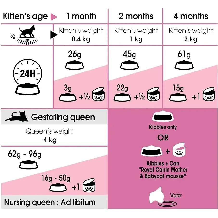 خرید ، قیمت و مشخصات غذای خشک گربه مادر اند بیبی رویال کنین از پت شاپ لنداف هانا | royal canin mother & babycat