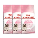 خرید ، قیمت و مشخصات غذای خشک گربه مادر اند بیبی رویال کنین از پت شاپ لنداف هانا | royal canin mother & babycat