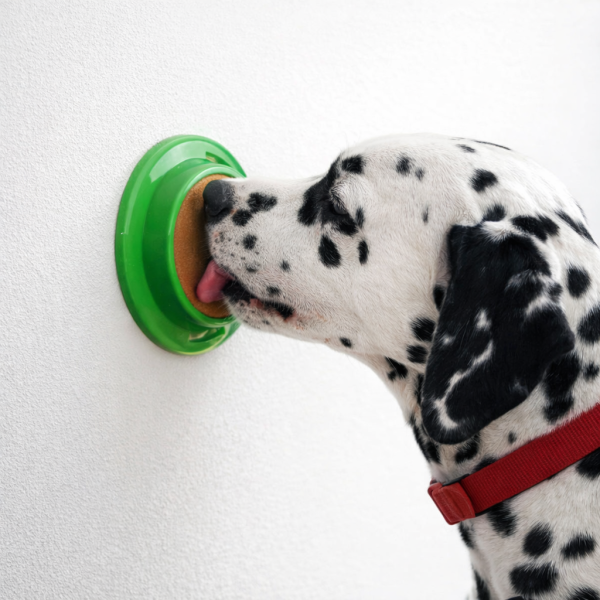 خرید، قیمت و مشخصات آبنبات سگ لیک لیک از پت شاپ لنداف هانا | Lick Lick dog candy