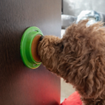 خرید، قیمت و مشخصات آبنبات سگ لیک لیک از پت شاپ لنداف هانا | Lick Lick dog candy