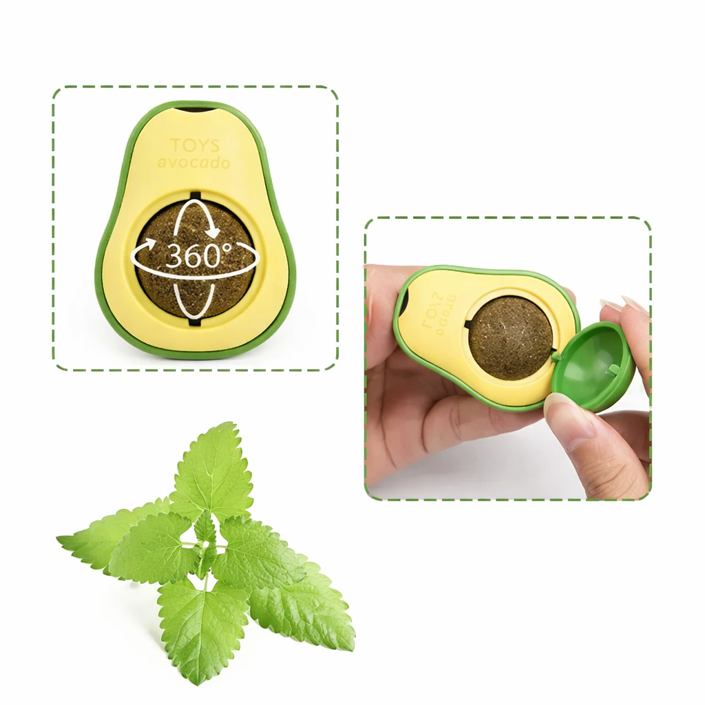 خرید، قیمت و مشخصات آبنبات گربه مدل آووکادو از پت شاپ لنداف هانا | Avocado catnip